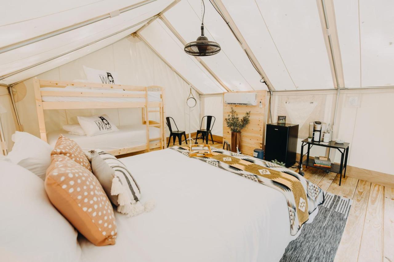 Timberline Glamping At Unicoi State Park *